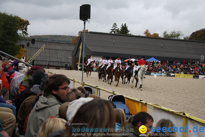 Hengstparade Marbach 2008