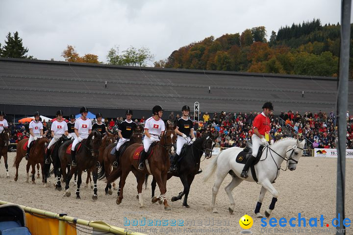 Hengstparade Marbach 2008