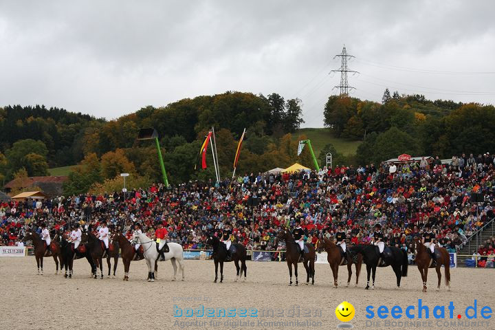 Hengstparade Marbach 2008