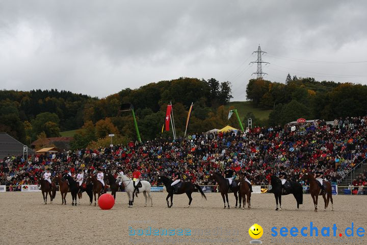 Hengstparade Marbach 2008