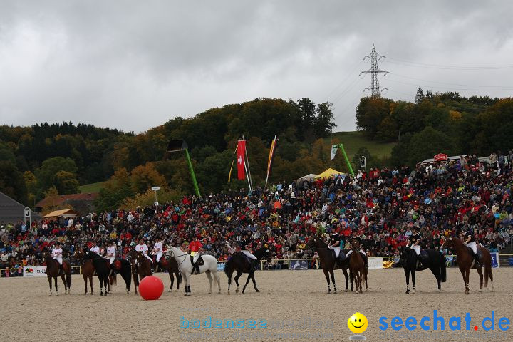 Hengstparade Marbach 2008