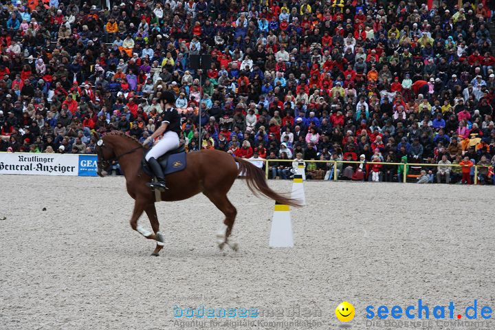 Hengstparade Marbach 2008