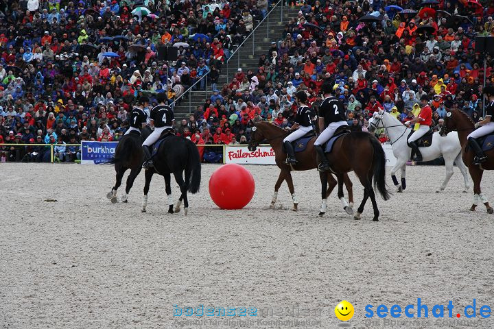 Hengstparade Marbach 2008