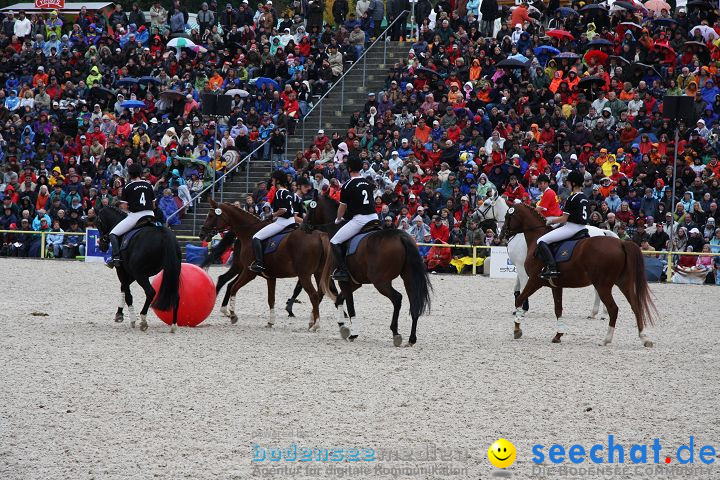 Hengstparade Marbach 2008