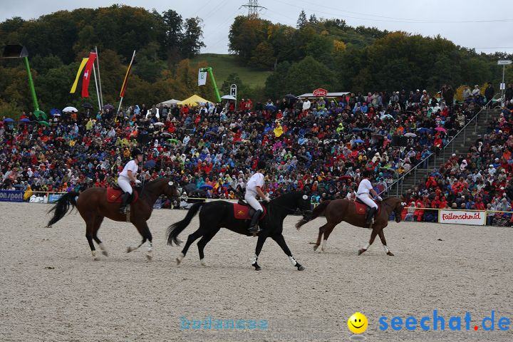 Hengstparade Marbach 2008