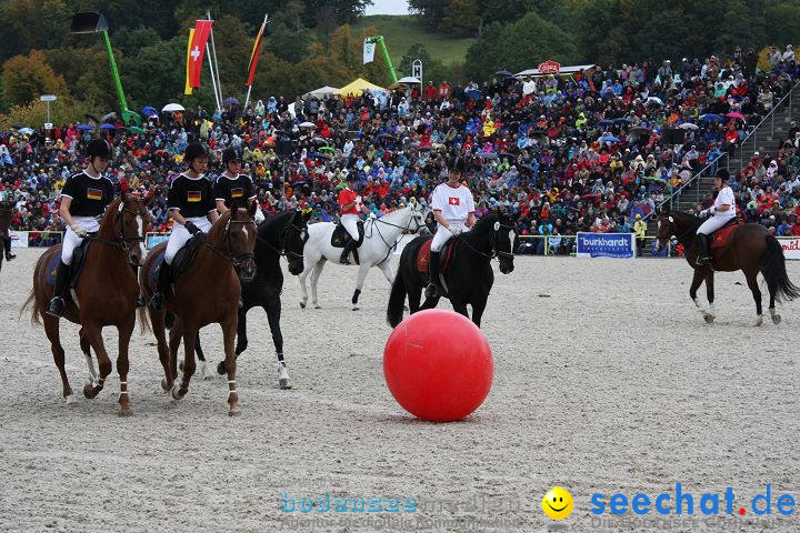 Hengstparade Marbach 2008