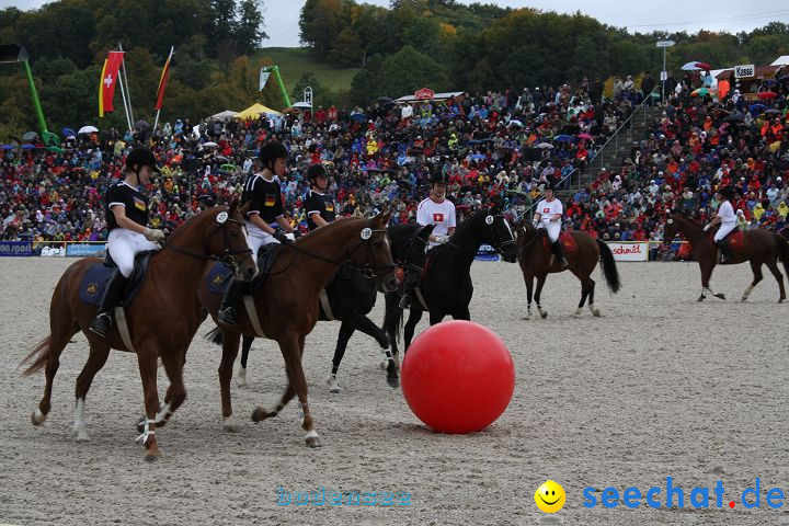 Hengstparade Marbach 2008