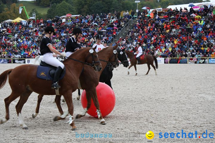 Hengstparade Marbach 2008