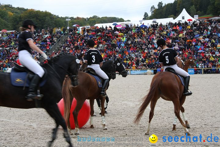 Hengstparade Marbach 2008