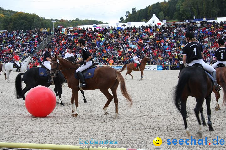 Hengstparade Marbach 2008