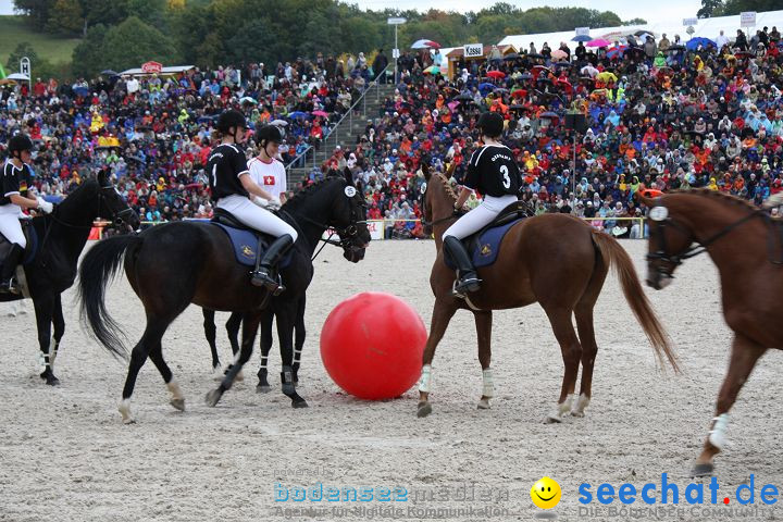 Hengstparade Marbach 2008