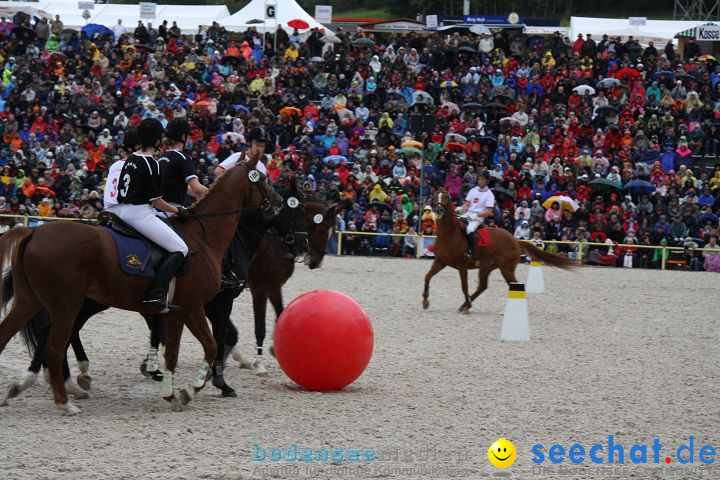 Hengstparade Marbach 2008