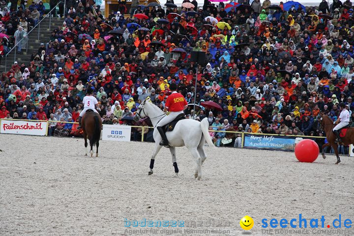 Hengstparade Marbach 2008