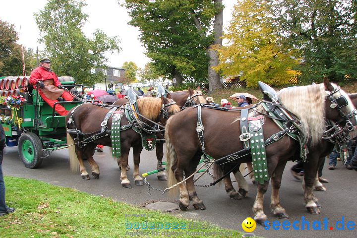 Hengstparade Marbach 2008