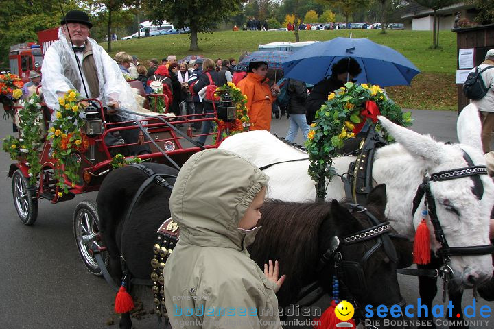 Hengstparade Marbach 2008