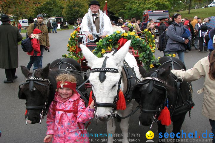 Hengstparade Marbach 2008