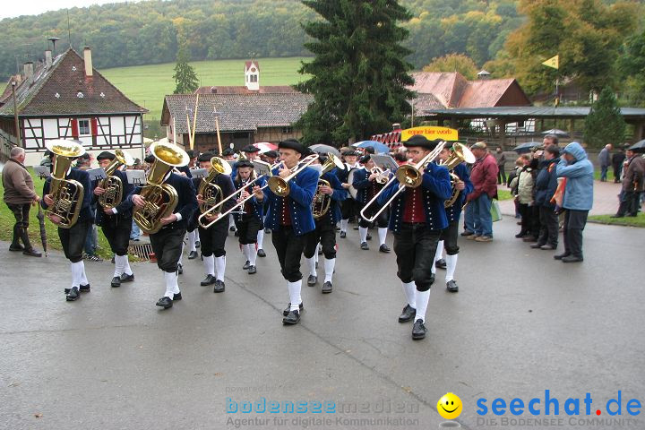 Hengstparade Marbach 2008