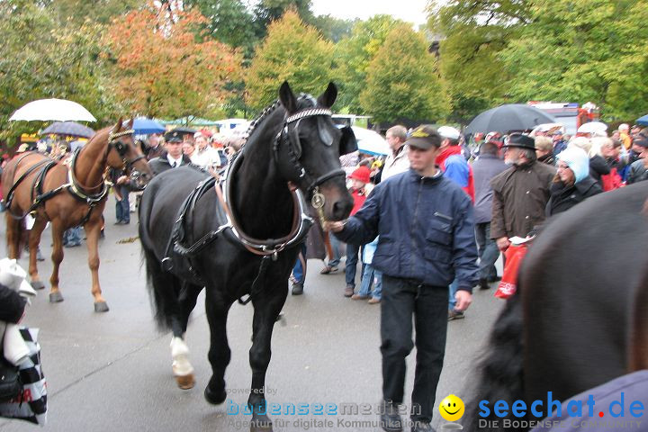 Hengstparade Marbach 2008