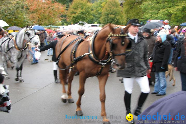 Hengstparade Marbach 2008