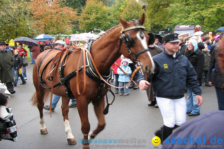 Hengstparade Marbach 2008