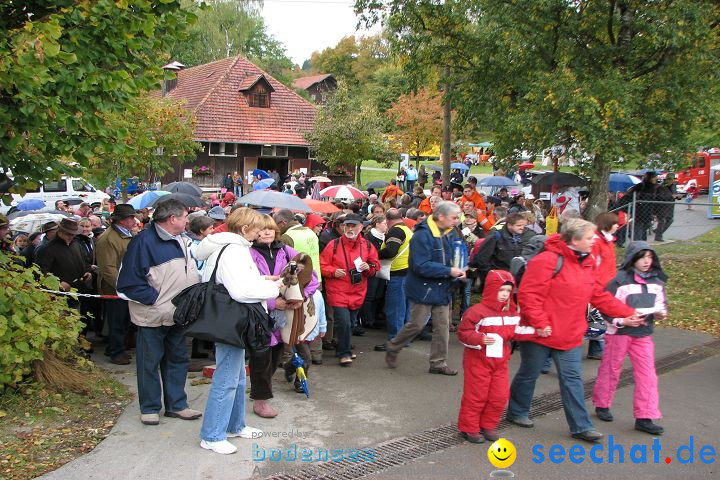 Hengstparade Marbach 2008