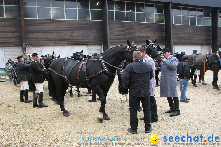 Hengstparade Marbach 2008