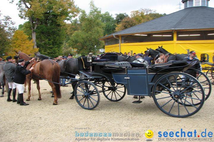 Hengstparade Marbach 2008