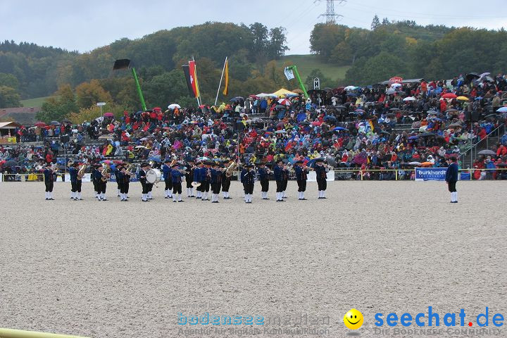 Hengstparade Marbach 2008