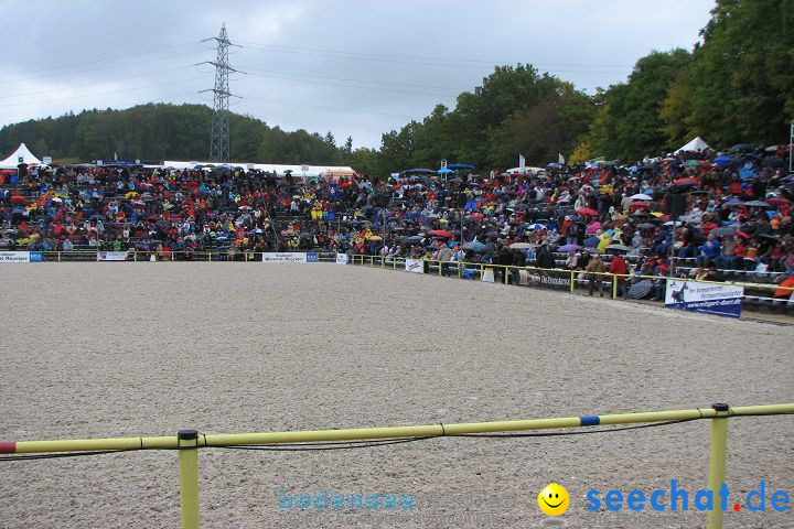 Hengstparade Marbach 2008