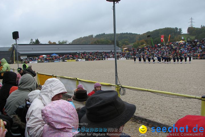 Hengstparade Marbach 2008