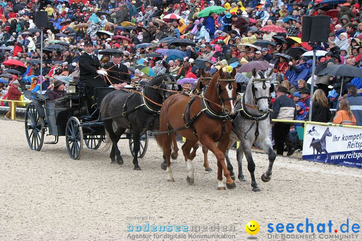 Hengstparade Marbach 2008