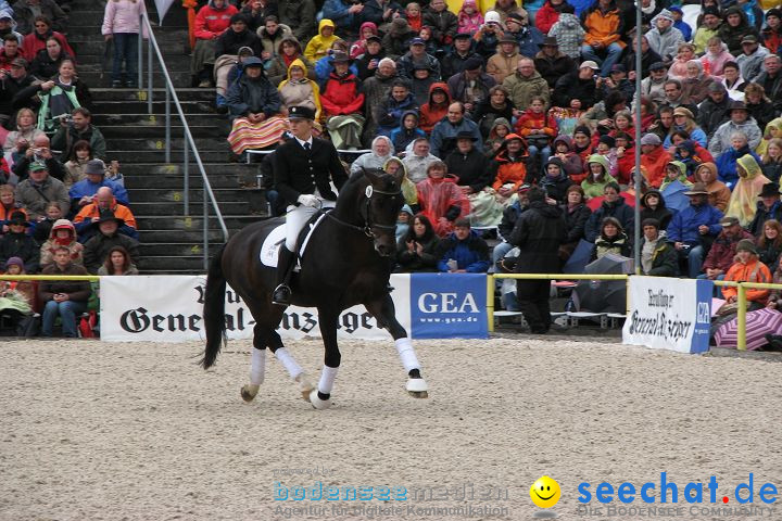 Hengstparade Marbach 2008