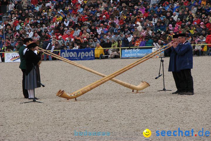 Hengstparade Marbach 2008