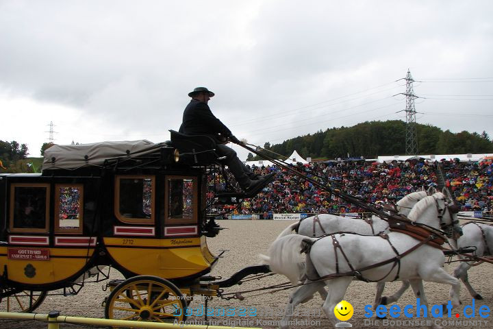 Hengstparade Marbach 2008