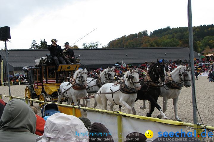 Hengstparade Marbach 2008