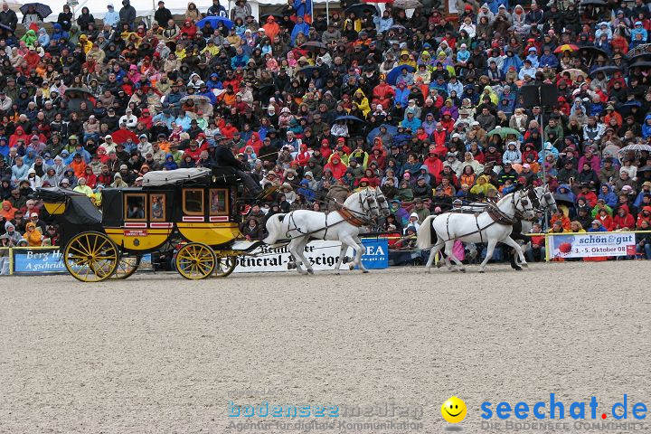 Hengstparade Marbach 2008