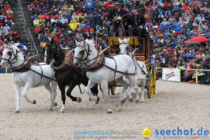 Hengstparade Marbach 2008