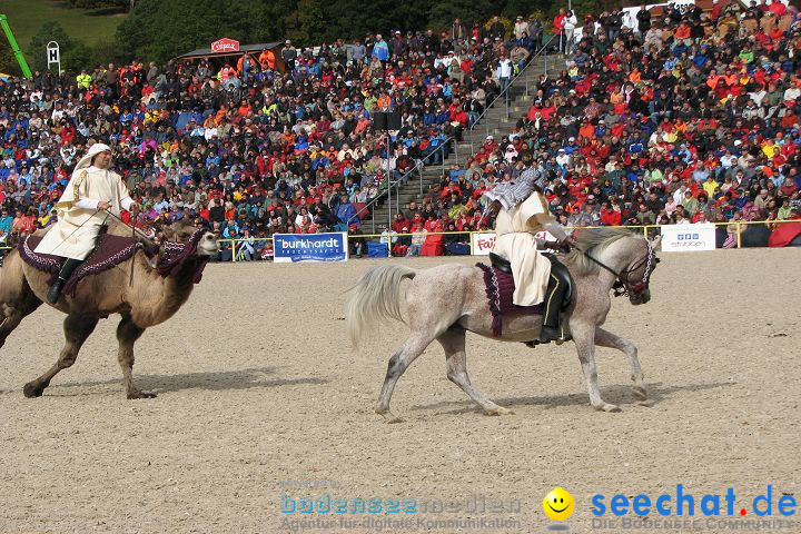 Hengstparade Marbach 2008