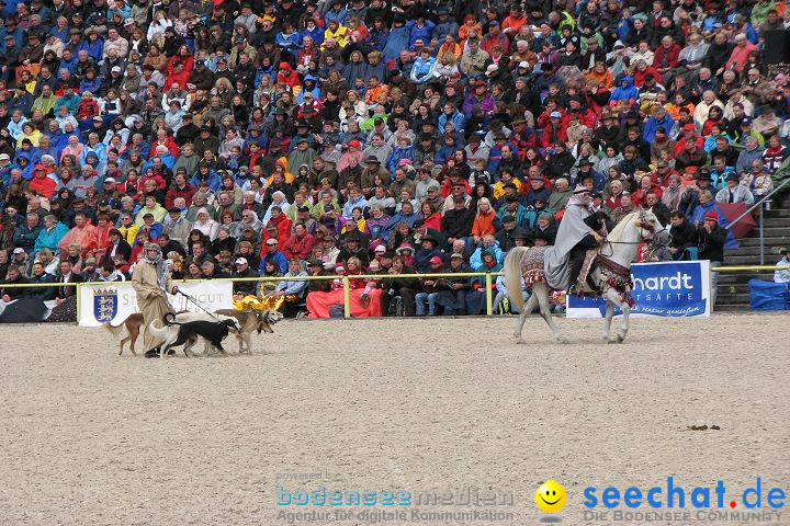 Hengstparade Marbach 2008