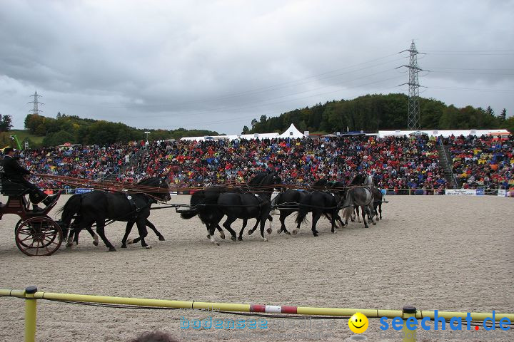 Hengstparade Marbach 2008