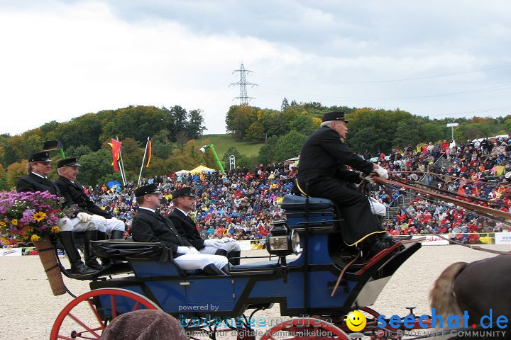 Hengstparade Marbach 2008