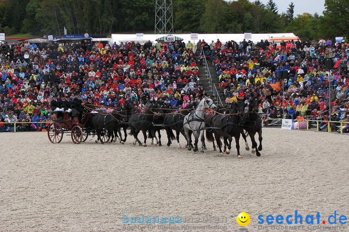 Hengstparade Marbach 2008