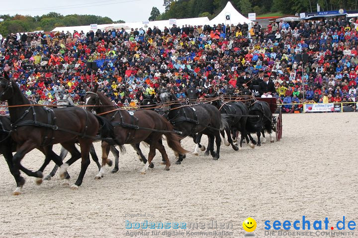 Hengstparade Marbach 2008