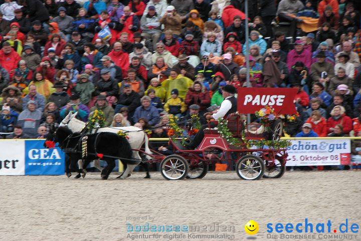 Hengstparade Marbach 2008