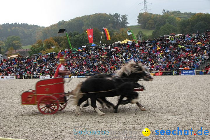 Hengstparade Marbach 2008