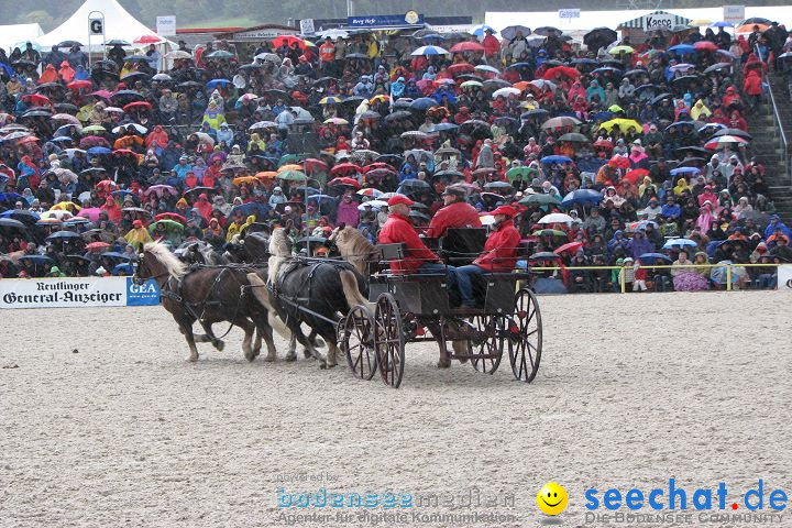 Hengstparade Marbach 2008