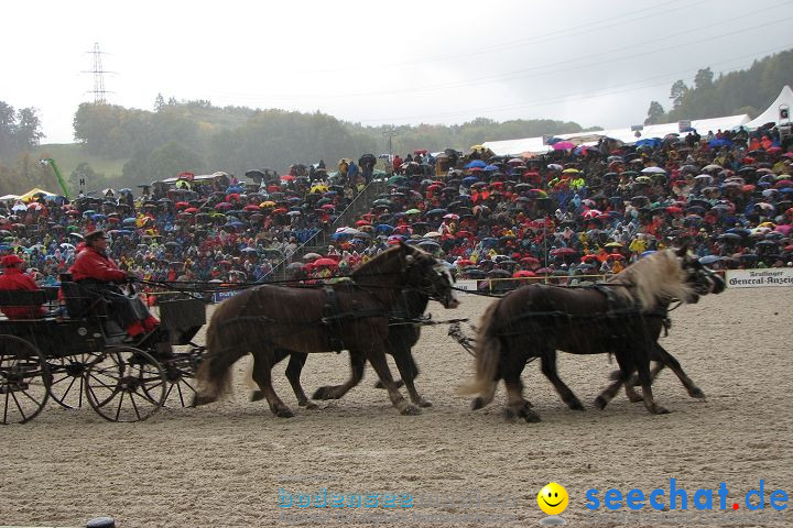 Hengstparade Marbach 2008