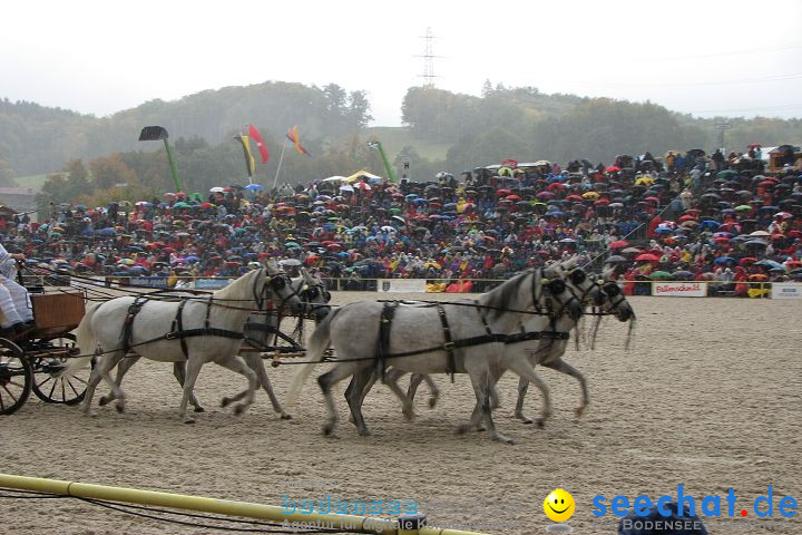 Hengstparade Marbach 2008