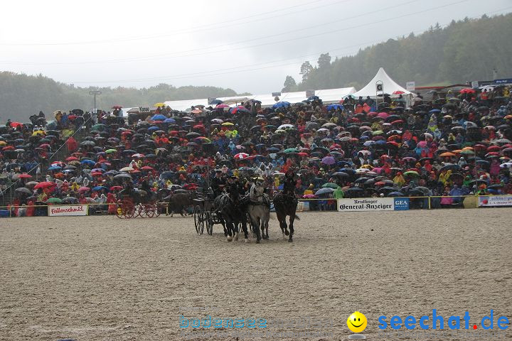 Hengstparade Marbach 2008