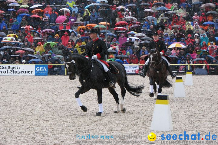 Hengstparade Marbach 2008